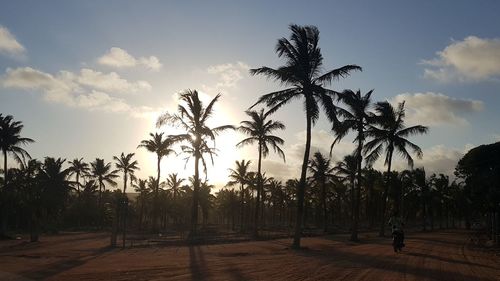 People by palm trees on beach against sky at sunset