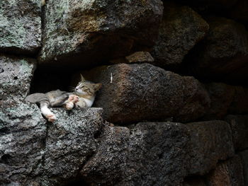 View of rocks sitting on rock