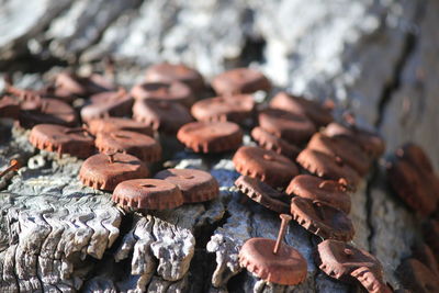 Close-up of bottle caps on wood