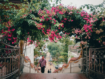 People walking on flowering plants