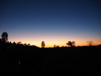 Silhouette of trees at sunset