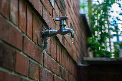 Close-up view of brick wall