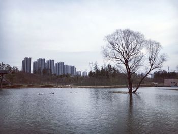 River with buildings in background