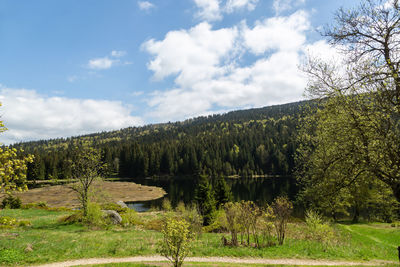 Scenic view of lake by trees against sky