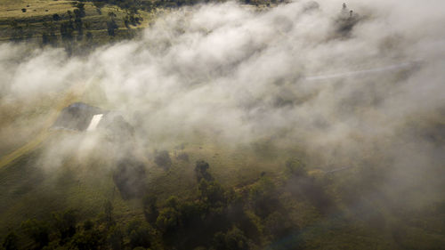 Scenic view of clouds in forest