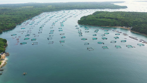 Fishing industry. fish farming on an industrial scale.