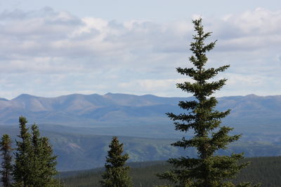 Scenic view of tree mountains against sky