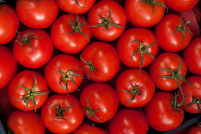 High angle view of tomatoes for sale at market
