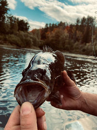 Cropped hand of person holding fish