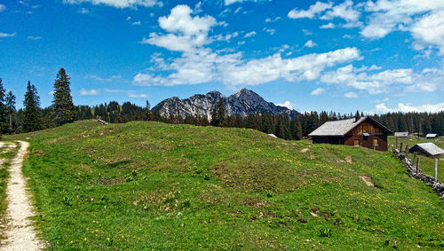 Scenic view of field against sky