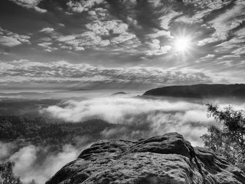 Landscape view. exposed sandstone cliff above deep misty valley in saxony switzerland. dreamy mood