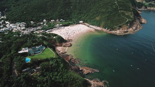 High angle view of plants by sea