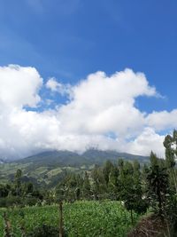 Scenic view of landscape against sky