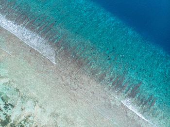 View of fish underwater