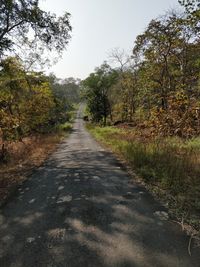 Road amidst trees against clear sky