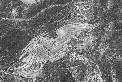 High angle view of trees on land