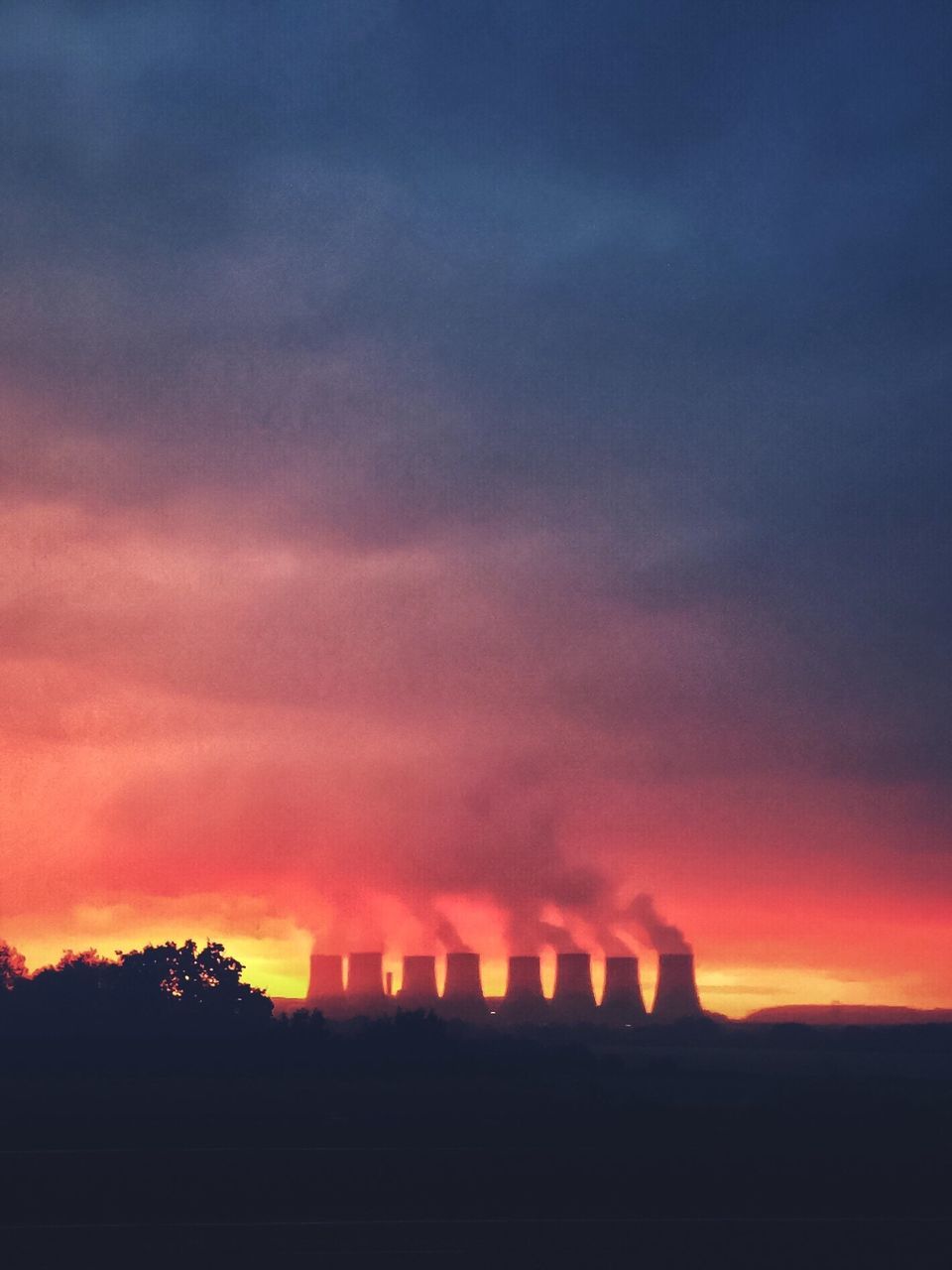 SILHOUETTE TREES AT SUNSET