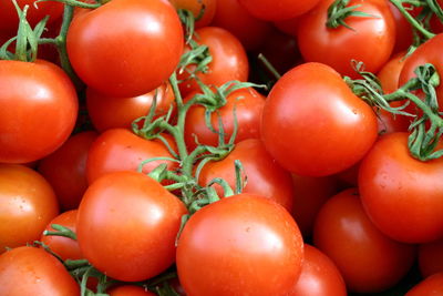 Close-up of tomatoes for sale at market