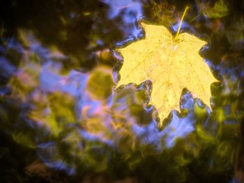 Close-up of illuminated water