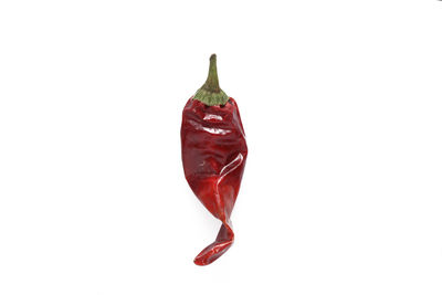Close-up of red chili pepper against white background