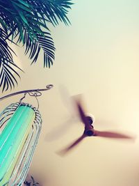 Low angle view of palm tree against clear sky