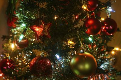 Close-up of christmas tree