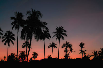 Silhouette palm trees against romantic sky at sunset