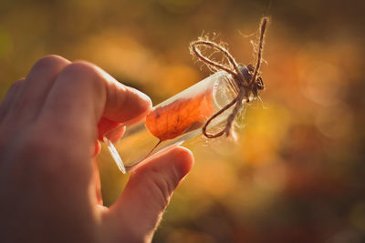 Cropped hand of person holding small bottle with dry leaf