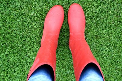 Low section of woman standing on grass