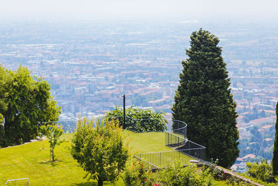 High angle view of trees and buildings in city