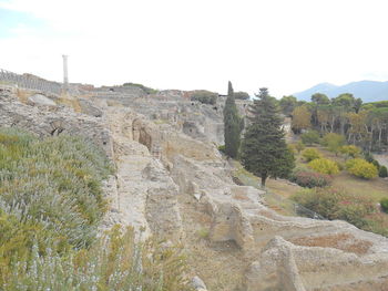 Scenic view of landscape against clear sky