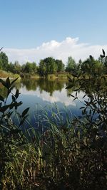 Scenic view of lake against sky