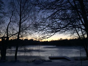 Bare trees on snow covered landscape