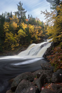 Scenic view of waterfall in forest during autumn at mary ann falls, cape breton island, nova scotia