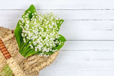 High angle view of flowering plant on table