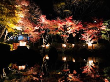 Illuminated trees against sky at night