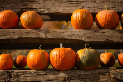 Close-up of pumpkins on wooden table