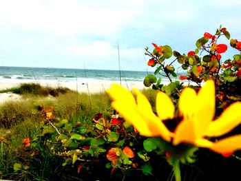 Scenic view of sea against sky