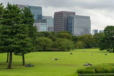 Trees in park by buildings in city against sky