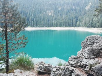 Scenic view of lake and rocks against trees