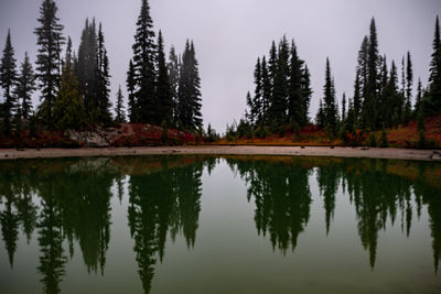 Reflection of trees in lake against sky