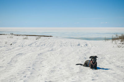 Scenic view of sea against sky during winter