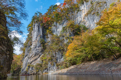 Trees by lake against sky during autumn