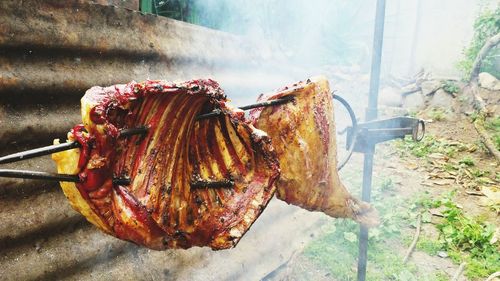 Close-up of roasted lamb meat hanging on metal