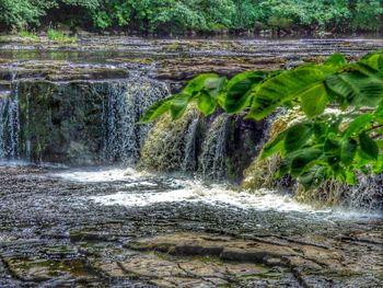 View of waterfall in forest