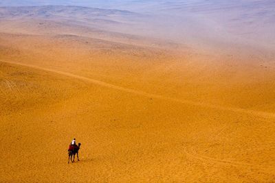 Man with umbrella on sand against sky