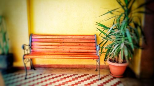 Close-up of potted plant on table