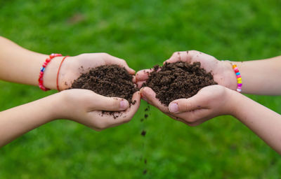 Cropped hand of woman holding plant