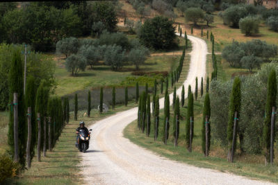 Rear view of person riding motorcycle on road