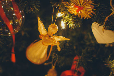 Close-up of christmas tree at night